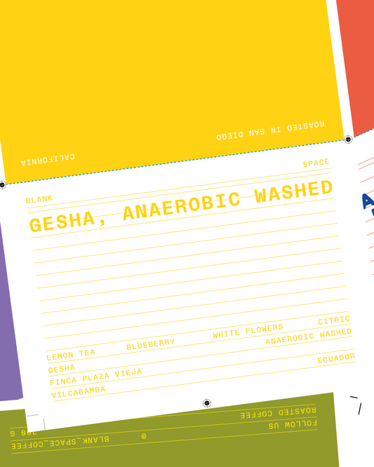 Gesha Washed, Finca Plaza Vieja