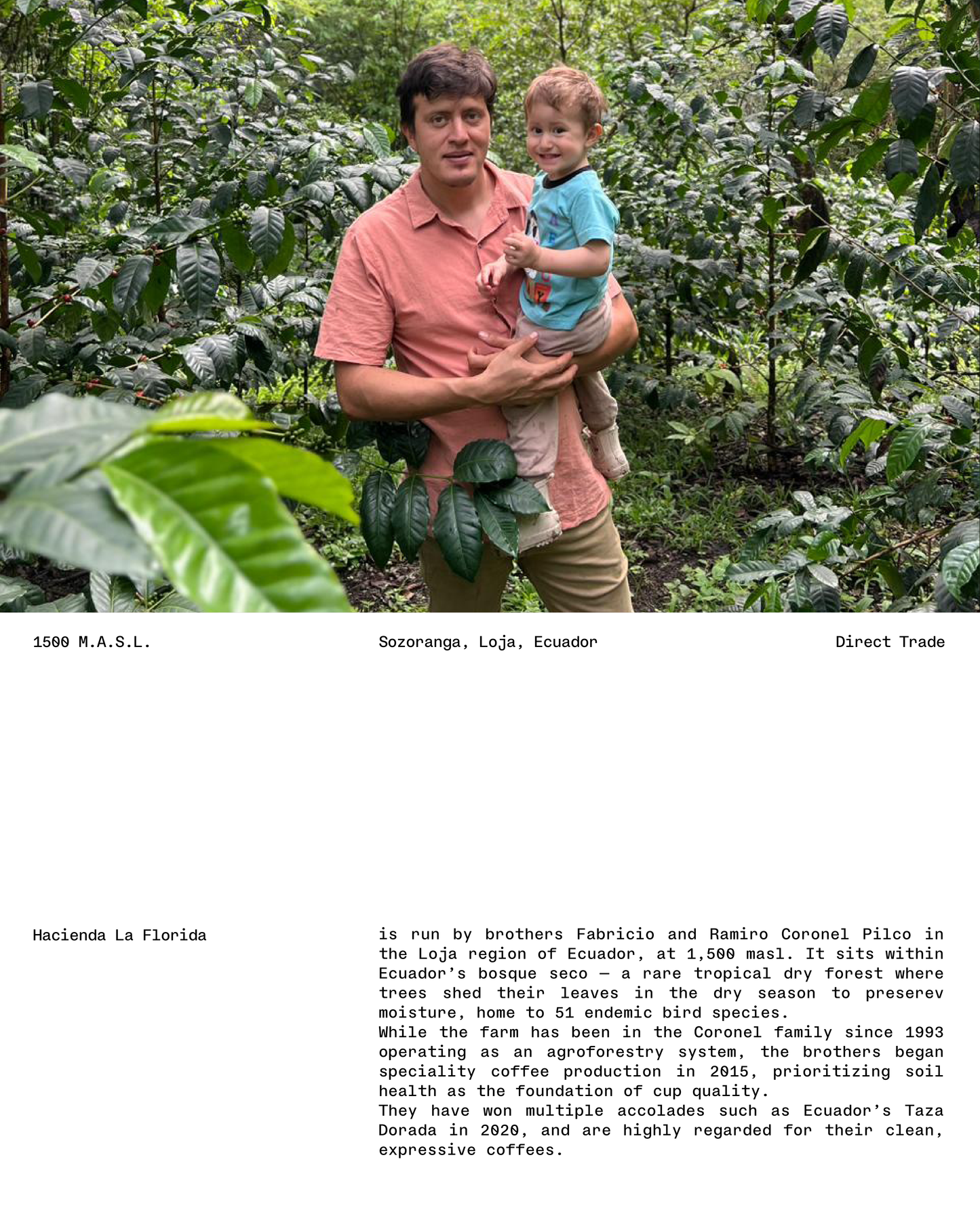 Typica Mejorado, CM Natural