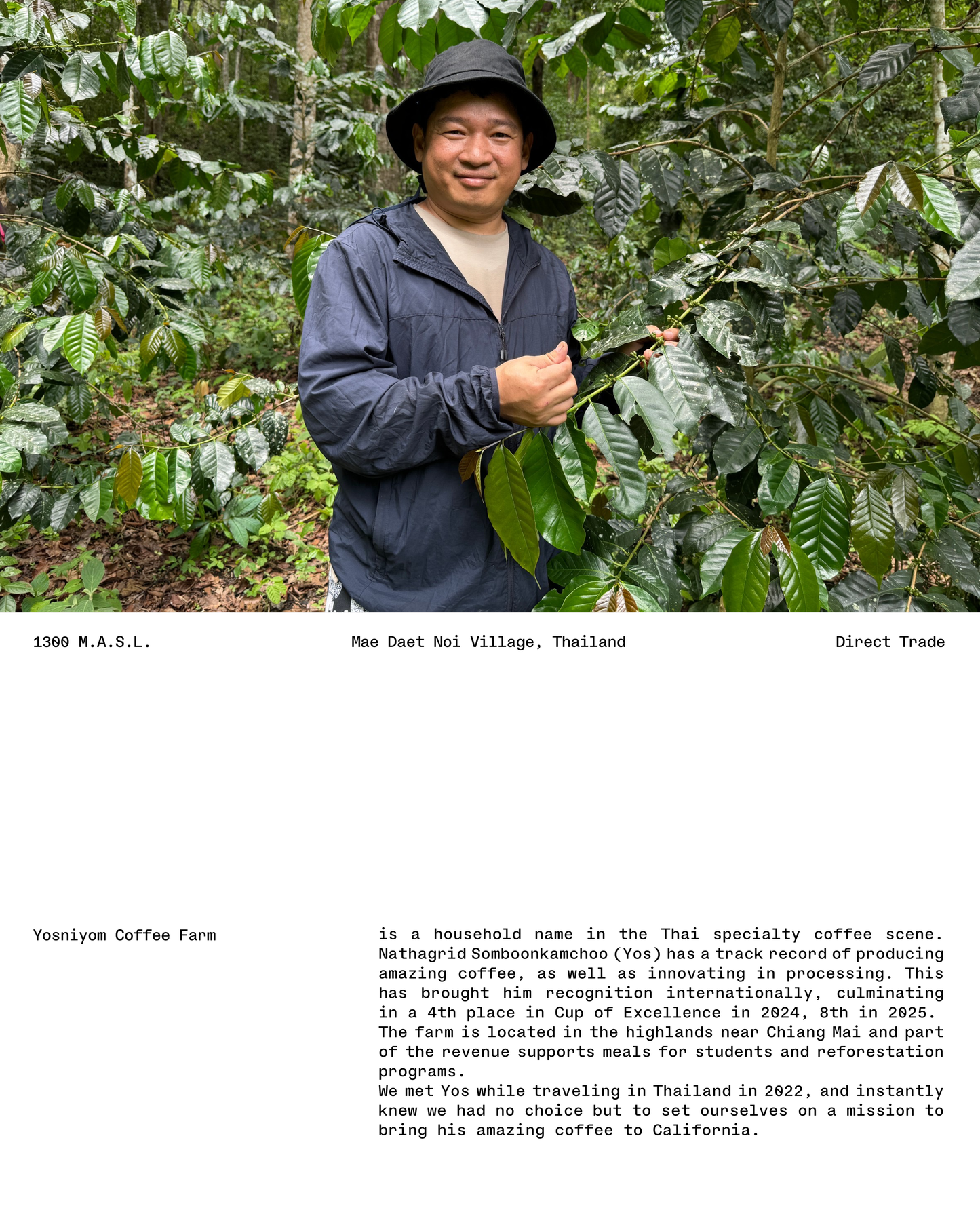 Thailand, Chaptalization Natural